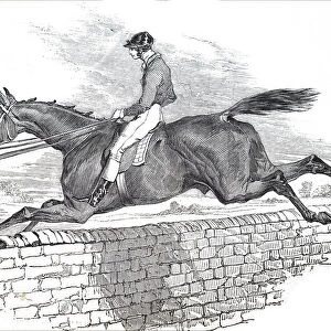 Illustration depicting a horse from the 1836 Grand Liverpool Steeplechase