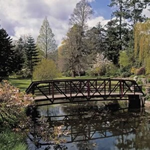Irish National Botanic Gardens, Dublin, Co Dublin, Ireland; Bridge Over Lily Lake