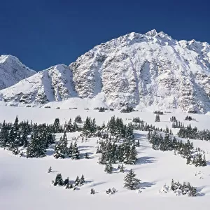 Jasper National Park in Winter Alberta, Canada