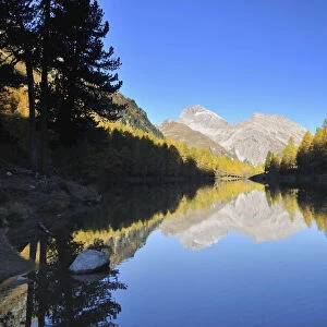 Lai da Palpuogna in Autumn, Albula Pass, Bergun, Grisons, Switzerland