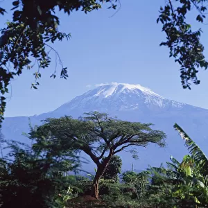 Mt. Kilimanjaro, Moshi, Tanzania