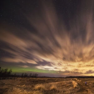 Night Sky With Aurora Borealis; Thunder Bay, Ontario, Canada