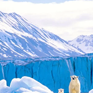 A polar bear with her cub on an iceberg