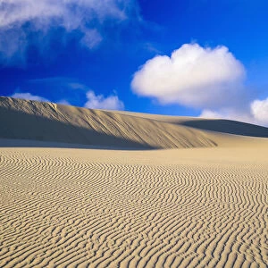 Rippled Sand And Dunes With Blue Sky And Cloud; Lakeside, Oregon, United States Of America