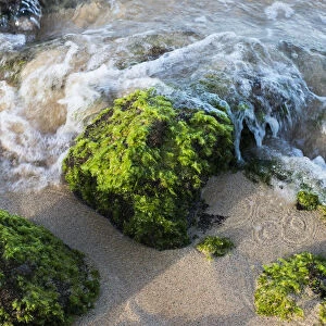 Surf Breaks On The Shore On Moss Covered Rocks; Poipu, Kauai, Hawaii, United States Of America