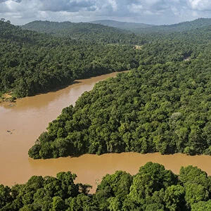 Silted river in rainforest, Cuyuni River, Guyana