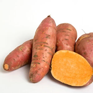 sweet potato, ipomoea batatas