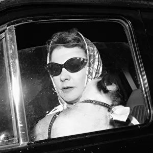Actress Vivien Leigh inside a car in London holding a cat June 1960