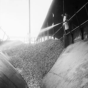 The apple canal at the Bulmers Cider Mill at Plough Lane, Hertford. Circa 1959