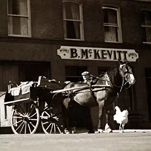 B. McKevitt General Store Ireland - Horse and Cart outside the store chicken