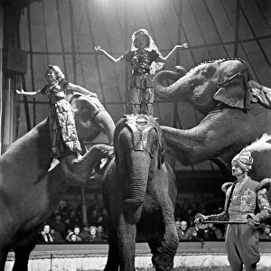 Bertram Mills Circus at Luton. April 1950 O23401-008