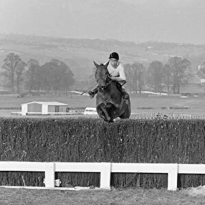 Cheltenham Gold Cup 1965. Arkle wridden by Pat Taaffe seen jumping a fence