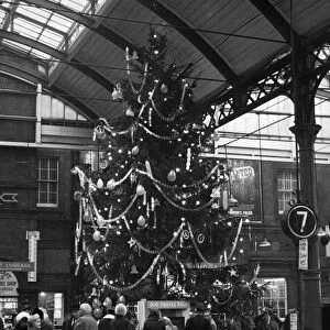 Christmas Tree in the Paragon Station for the Mother Humber Fund. 25th November 1966
