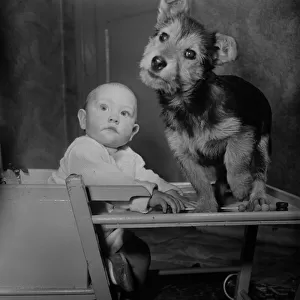 Dog and baby. November 1952 C5529