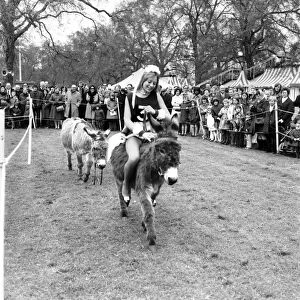 Donkey Derby held for charity at Festival Gardens. April 1972 72-04585-002