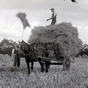 Farmers at work, harvesting crops at their farm in Cullompton