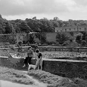 The Lily Pond at Kings Weston, opposite the stables, 1960s