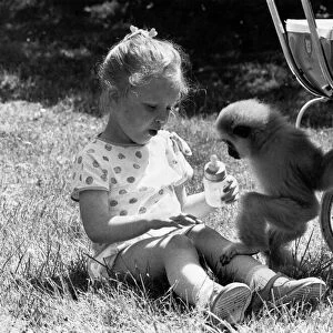 Little girl Madeline Jackson with Jake the monkey. June 1985 P011892