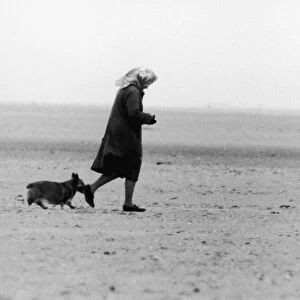 Her Majesty Queen Elizabeth II walking two of her corgis on the beach near Sandringham