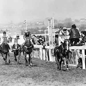 No46 Aldaniti with Bob Champion wins the 1981 Grand National at Aintree 6th April 1981