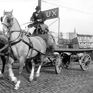 The oldest driver of a team of dray horses for a Sunderland Brewery, is Mr