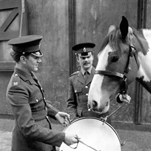 The Queen has bought "Cicero"an Edinburgh Co-operative Society milk horse