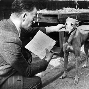 The race manager at the Sunbury on Thames and Park Royal greyhound track checks