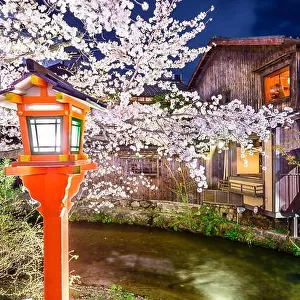 Kyoto, Japan at the Shirakawa River in the Gion District during the spring cherry blossom season