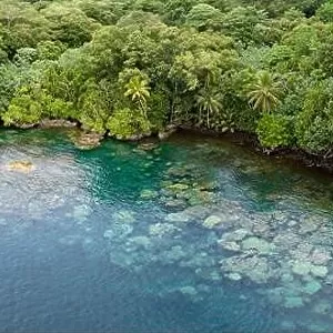 Lush jungle on a remote tropical island is fringed by a coral reef in the Solomon Islands. This country is home to spectacular marine biodiversity