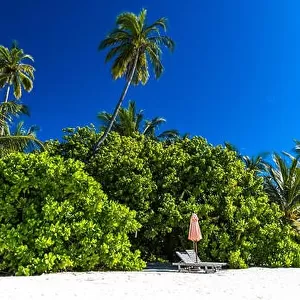Tropical beach background. Exotic travel destination
