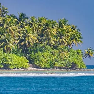 Tropical island beach. Palm trees near blue sea, tranquil nature concept. Exotic beach scenery