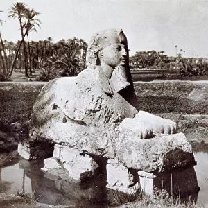 Alabaster sphinx, inside the ruins of the city of Memphis, in Egypt