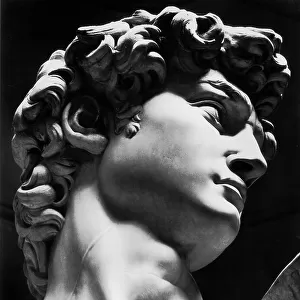 David, sculpture by Michelangelo Buonarroti: close-up