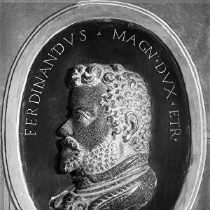 Ferdinando De Medici, porphyry, Pitti Palace, Florence