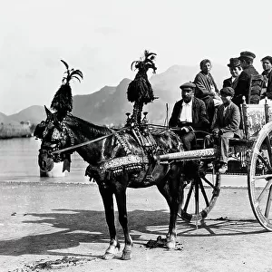 A group of people on a typical Sicilian cart