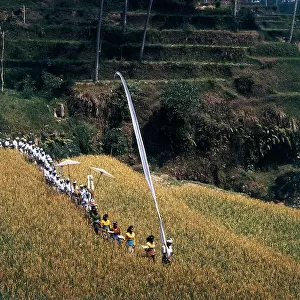 Indonesia. Propitiary procession of the harvest in Bali