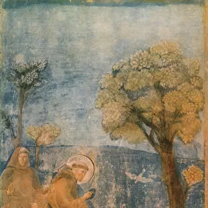 St. Francis praying to the birds; episode from the fresco cylce dedicated to the Life of St. Francis by Giotto. Upper Church of St. Francis, Assisi
