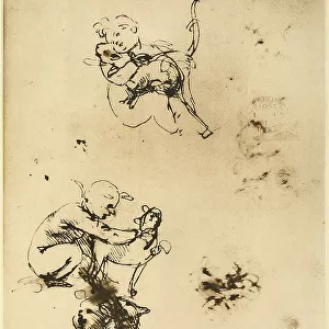 Studies for the Madonna of the Cat; pen and ink drawing on white paper by Leonardo da Vinci. British Museum, London