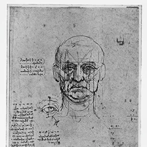Studies of proportions of the face (with notes), 1489-1490, metal tip, pen and brown ink on paper, Leonardo da Vinci, Biblioteca Reale, Musei Reali, Torino