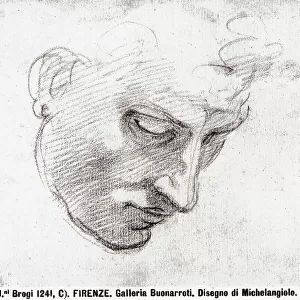 Study of a male face. Drawing by Michelangelo, in the museum of Casa Buonarroti in Florence