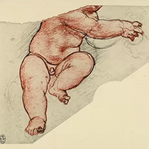Study of a naked child, drawing on gray paper with black sanguine sketches and traced with ink, by Leonardo da Vinci and preserved at the Royal Library of Windsor