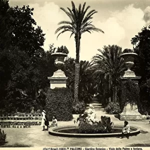 Viale delle Palme and the fountain in the Botanical Garden of Palermo