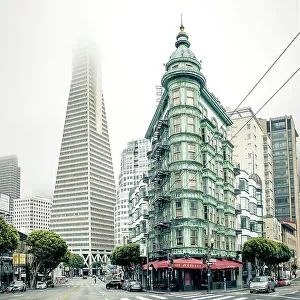 California, San Francisco, Transamerica Pyramid skyscraper and copper green Columbus Tower (aka Sentinel Building)