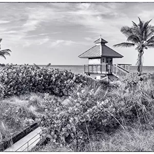 Florida, Boca Raton, lifeguard tower & palm tree on the beach