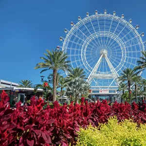Florida, Orlando, Orlando Eye is a 400 ft tall giant Ferris wheel, Coca-Cola sign