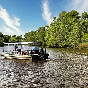 Louisiana, Louisiana's Swamp, Tour boat
