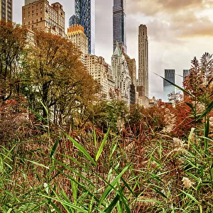 NY, NYC, Central Park, Midtown skyline