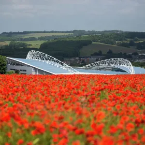 Brighton And Hove Albion FC: The Amex Stadium