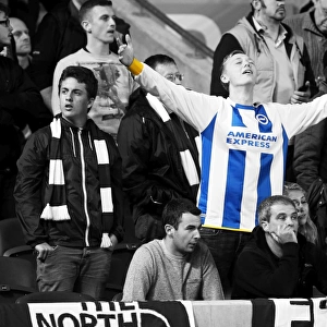 Brighton & Hove Albion: Electric Atmosphere - Crowd Shots from the Amex Stadium (2013-14 Season - Sheffield Wednesday Game)