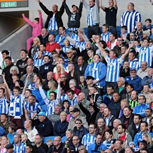 Brighton & Hove Albion vs Birmingham City: A Thrilling 2012-13 Home Match